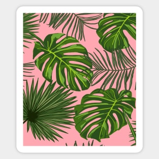 Tropical Plant Leaves Print on Pink Sticker